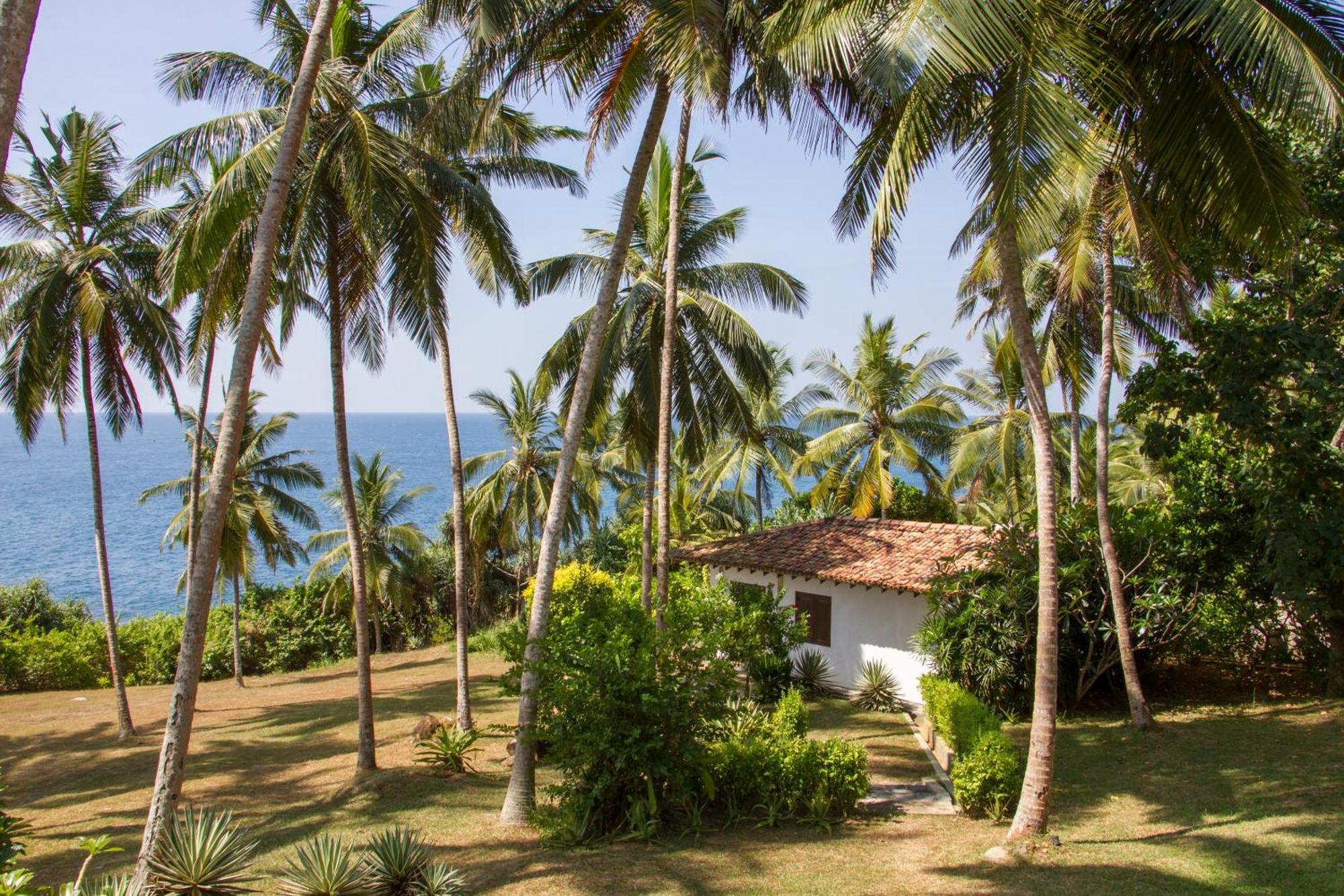 The Saffron House Hotel Dikwella Ngoại thất bức ảnh