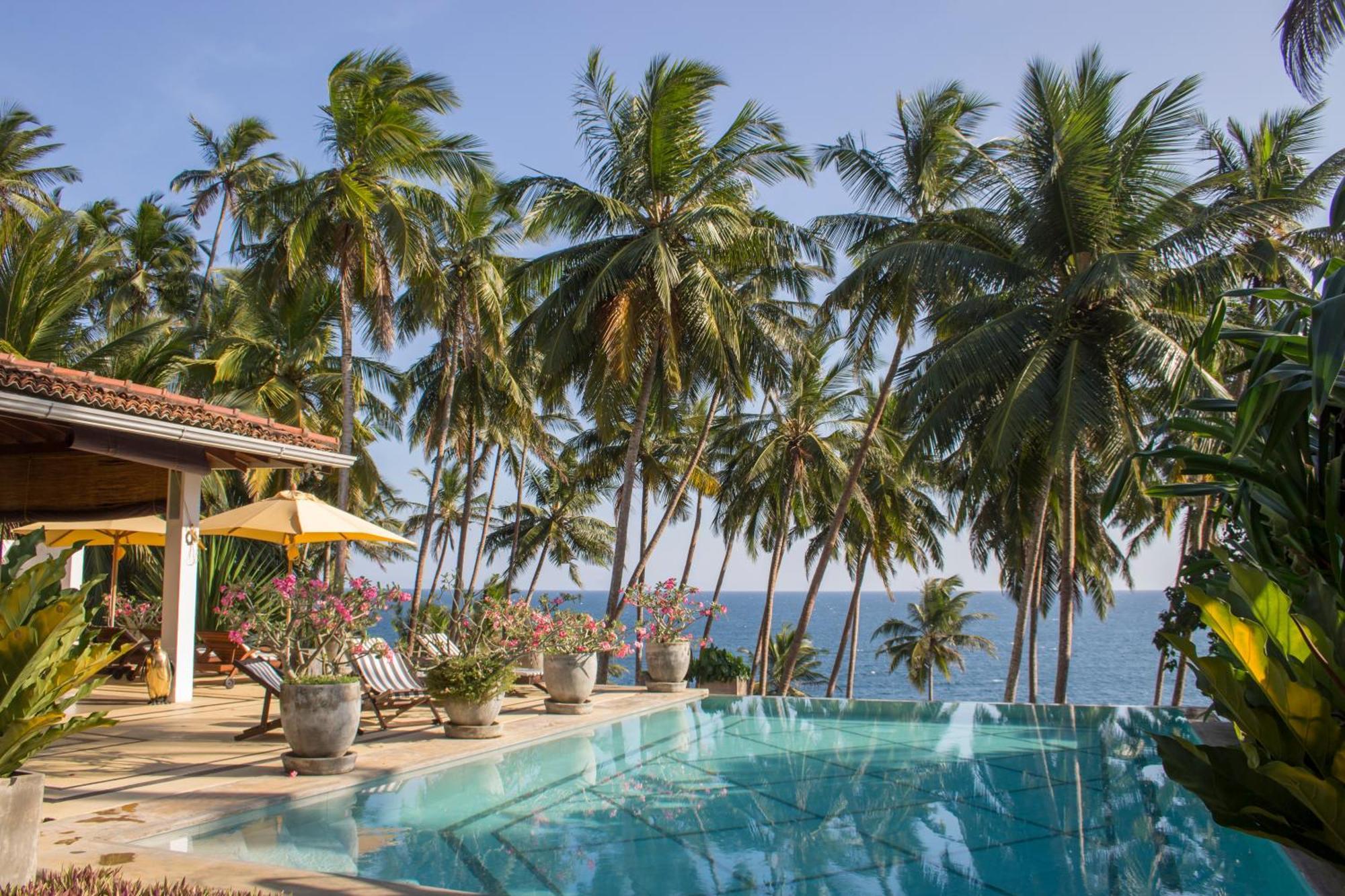 The Saffron House Hotel Dikwella Ngoại thất bức ảnh